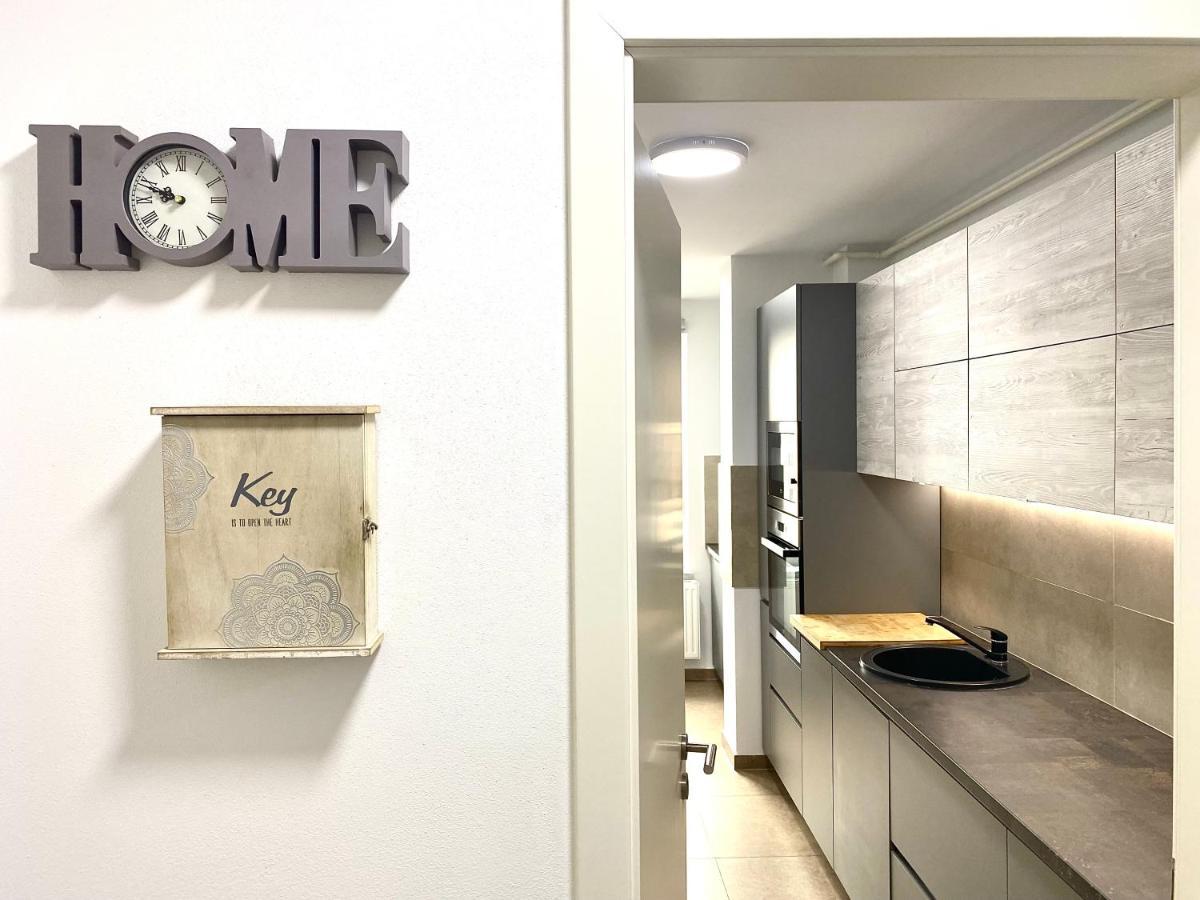 Astoria Apartment - Pet Friendly Брашов Экстерьер фото